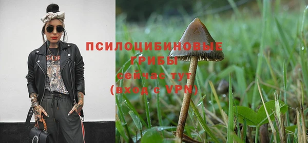 таблы Покровск