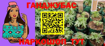спайс Аргун