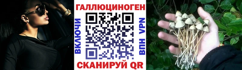 Псилоцибиновые грибы мицелий наркошоп МЕГА tor Ачинск