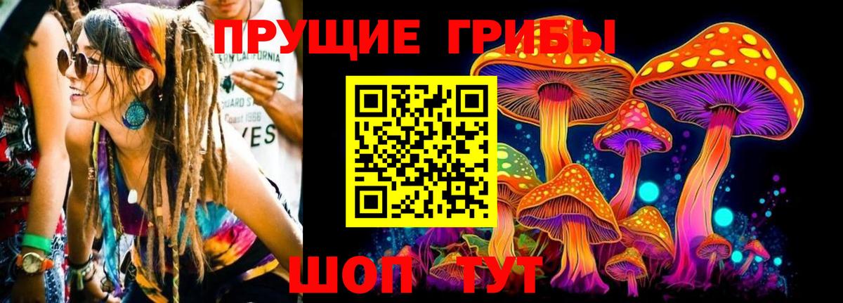Ачинск  Псилоцибиновые грибы Cubensis  Псилоцибиновые грибы прущие грибы  Вход с VPN 