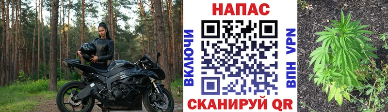 Шишки марихуана планчик  блэк спрут ONION  Ачинск 